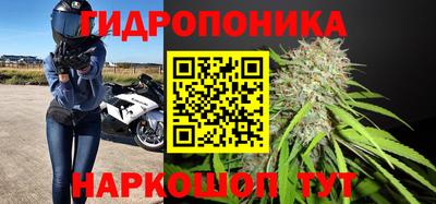 прущие крисы Рузаевка
